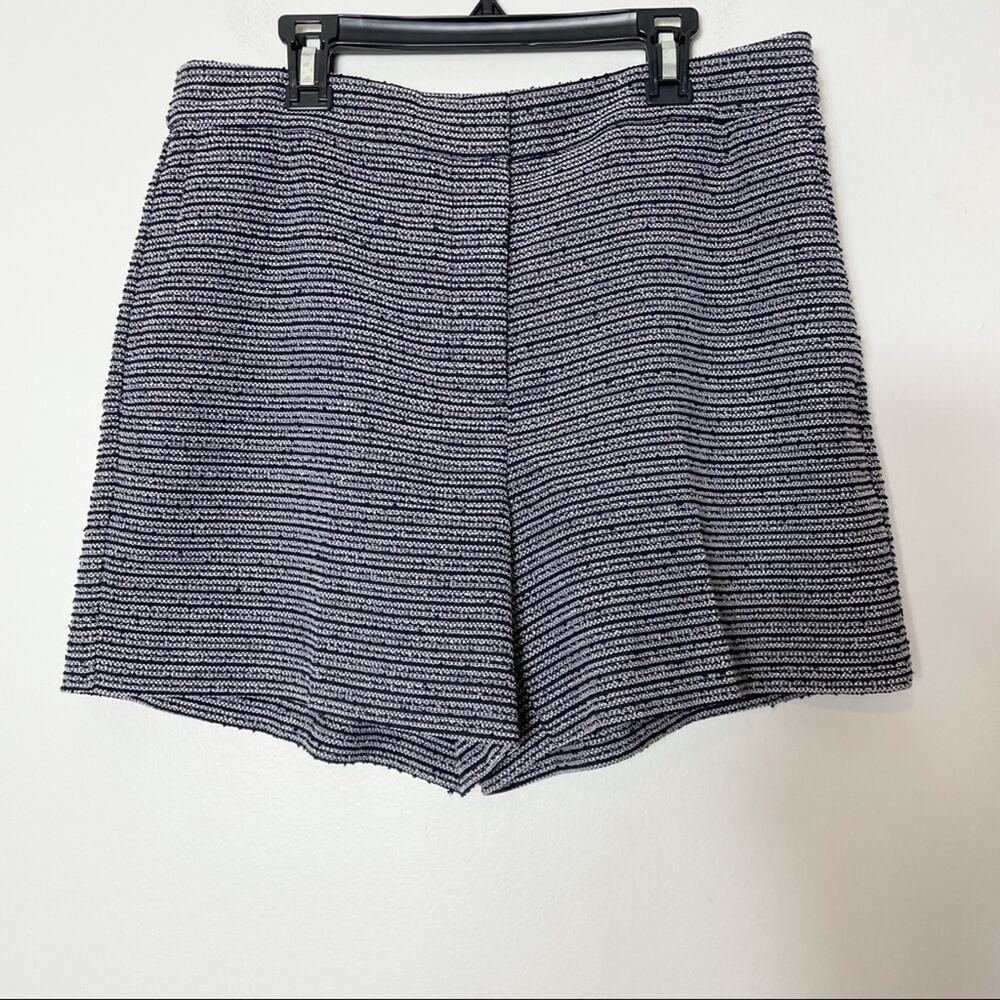 Ann Taylor Blue Striped Shorts